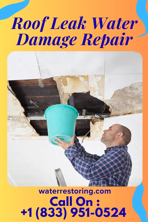 Roof Leak Water Damage Repair in Dufur, OR